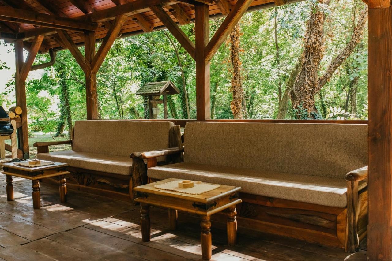 Forest House Палич Экстерьер фото